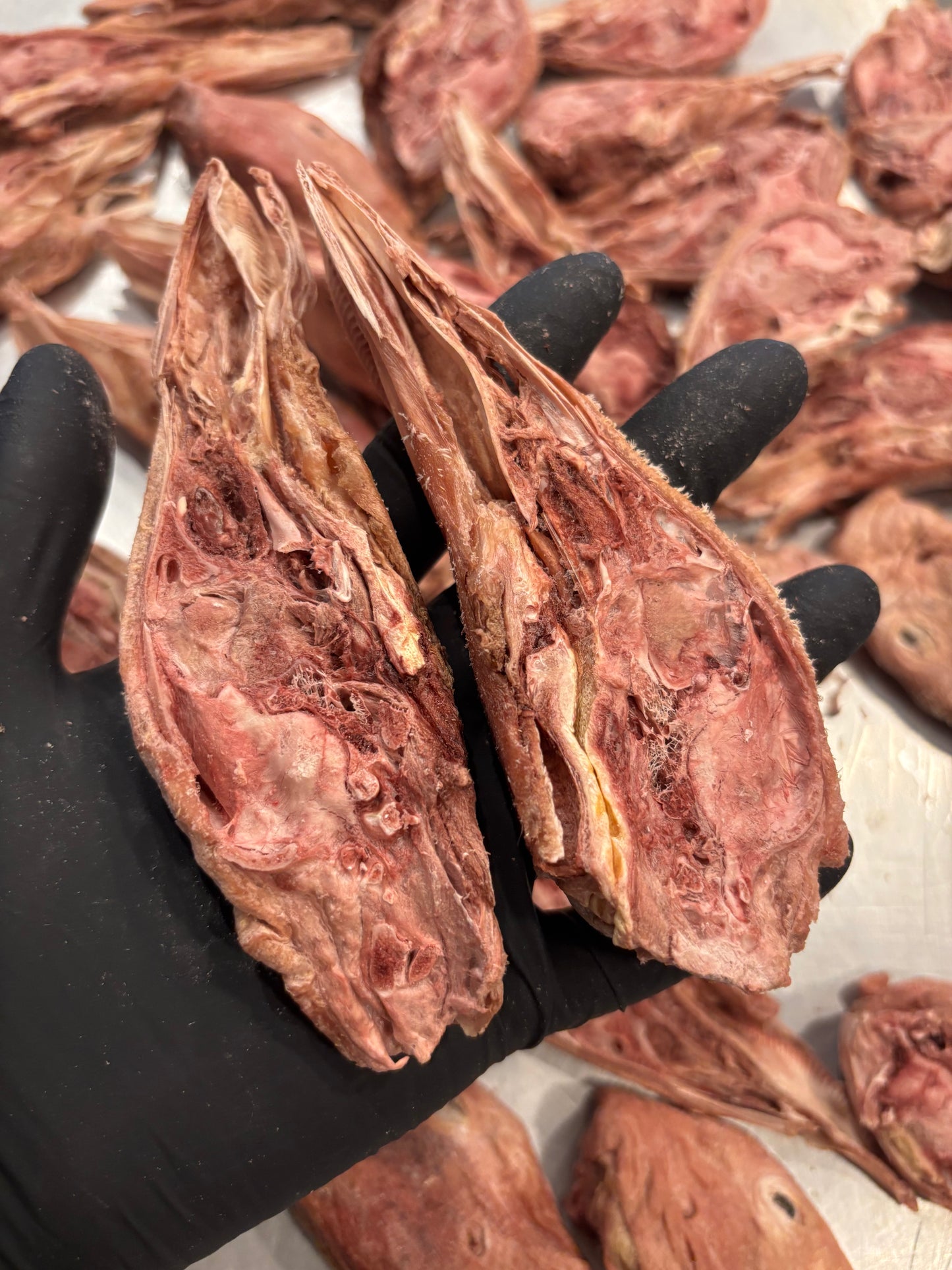 Freeze-Dried Duck Head (Half-Cut) – Crunchy Bone Treat for Small & Medium Dogs