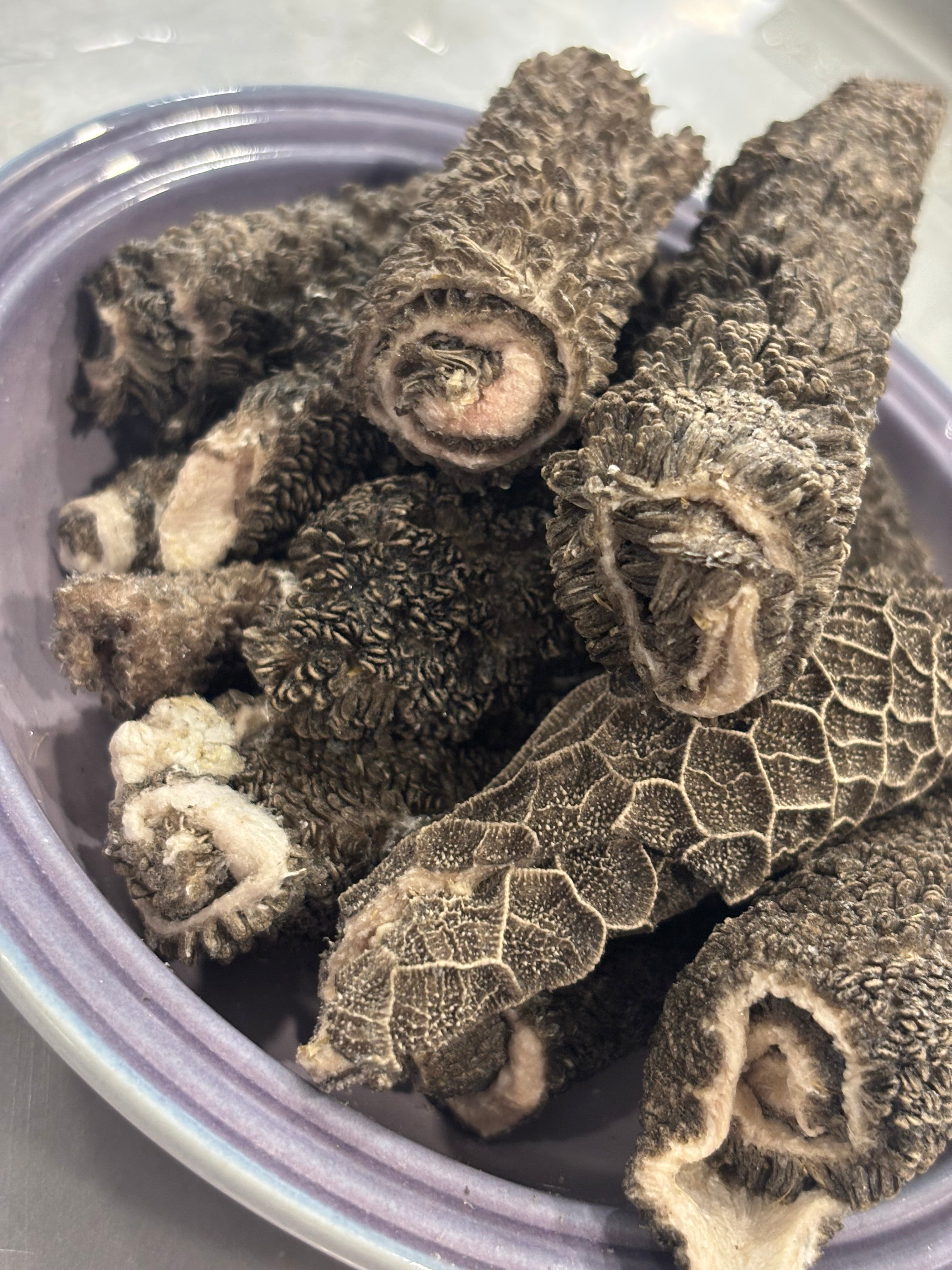 Freeze-Dried Lamb Tripe Rolls – Gentle, Digestive-Friendly Treat from Alberta Grass-Fed Lamb