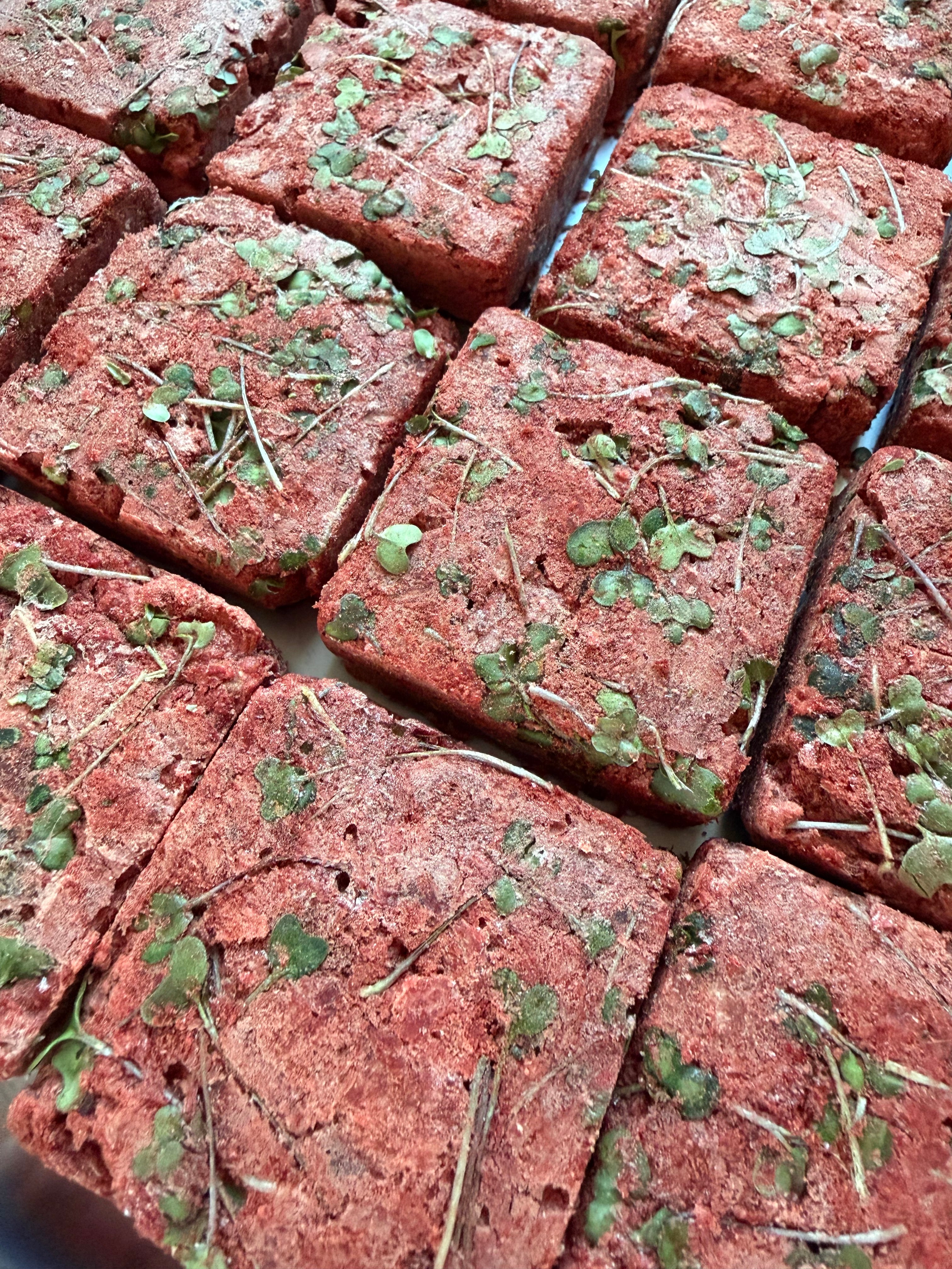 Freeze-Dried Bison & Broccoli Sprouts Patty – Superfood Boost