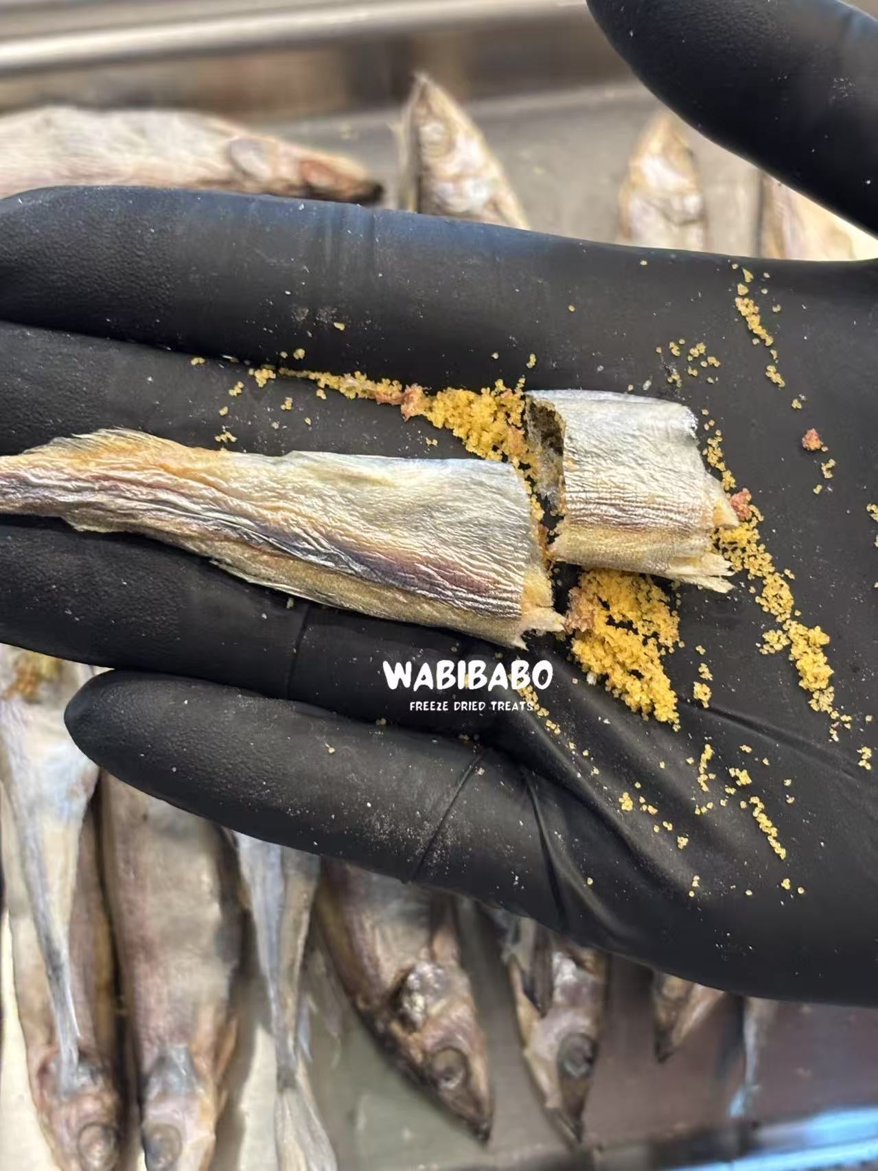 Freeze-Dried Whole Capelin with Exploding Roe – Nature’s Caviar for Pets