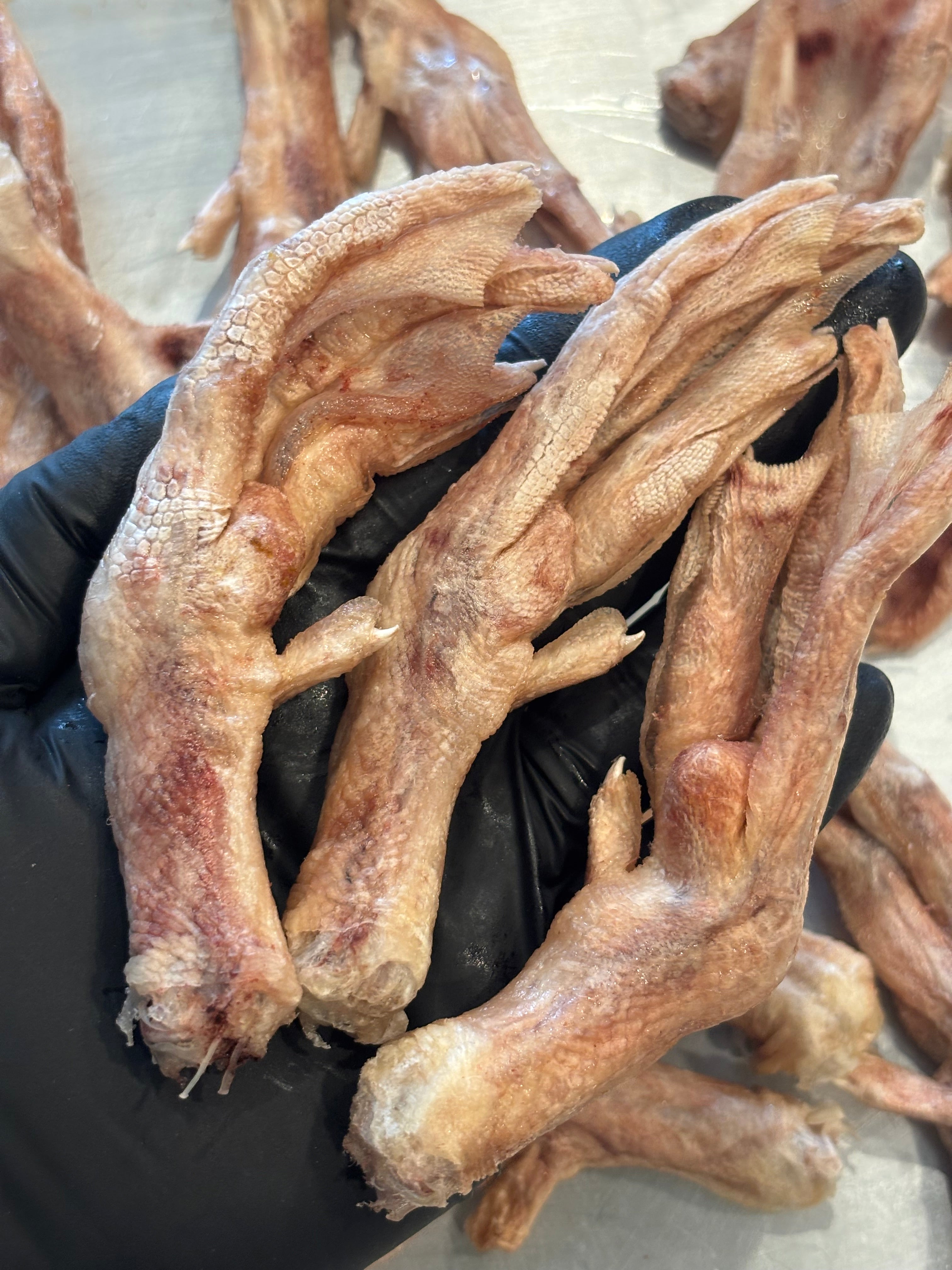Freeze-Dried Duck Feet – Crunchy, Nutritious, All-Natural