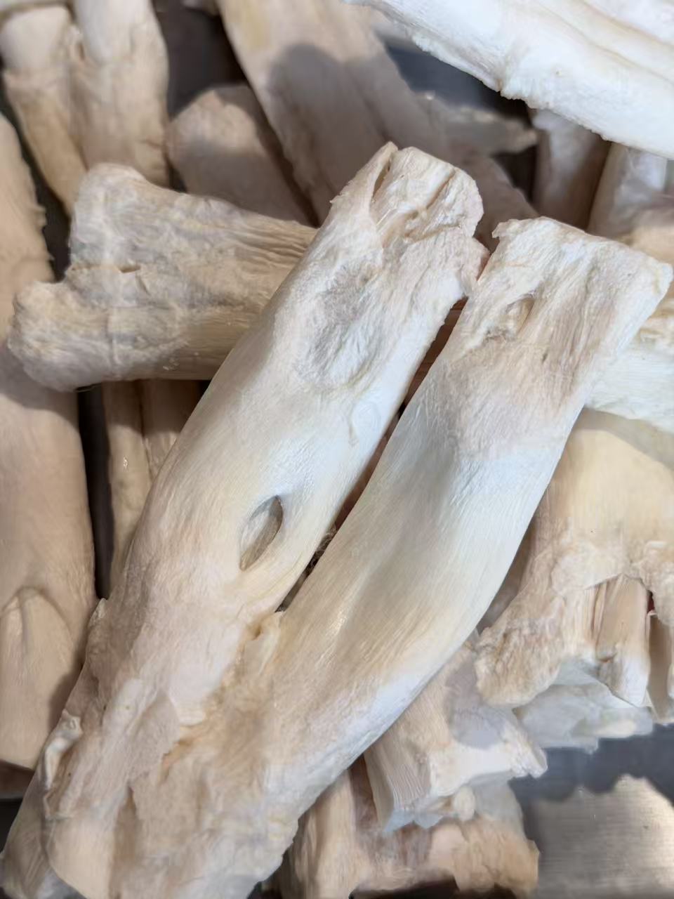 Freeze-Dried Beef Knee Tendon — for Small & Medium Dogs