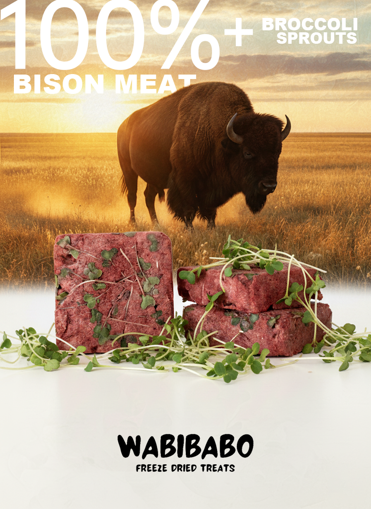 Freeze-Dried Bison & Broccoli Sprouts Patty – Superfood Boost