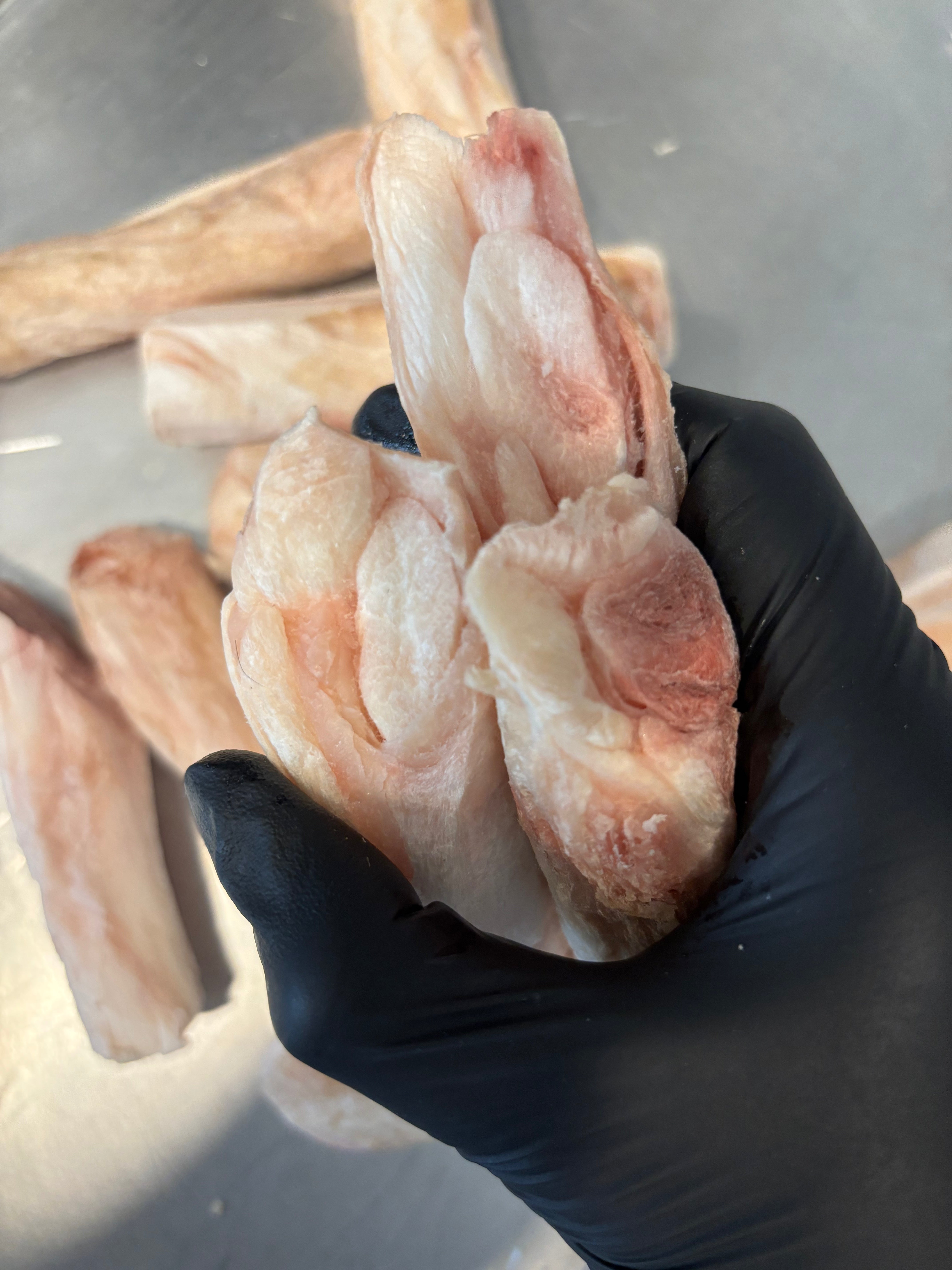 Freeze-Dried Beef Tendon – Natural Dental Chew for Clean Teeth