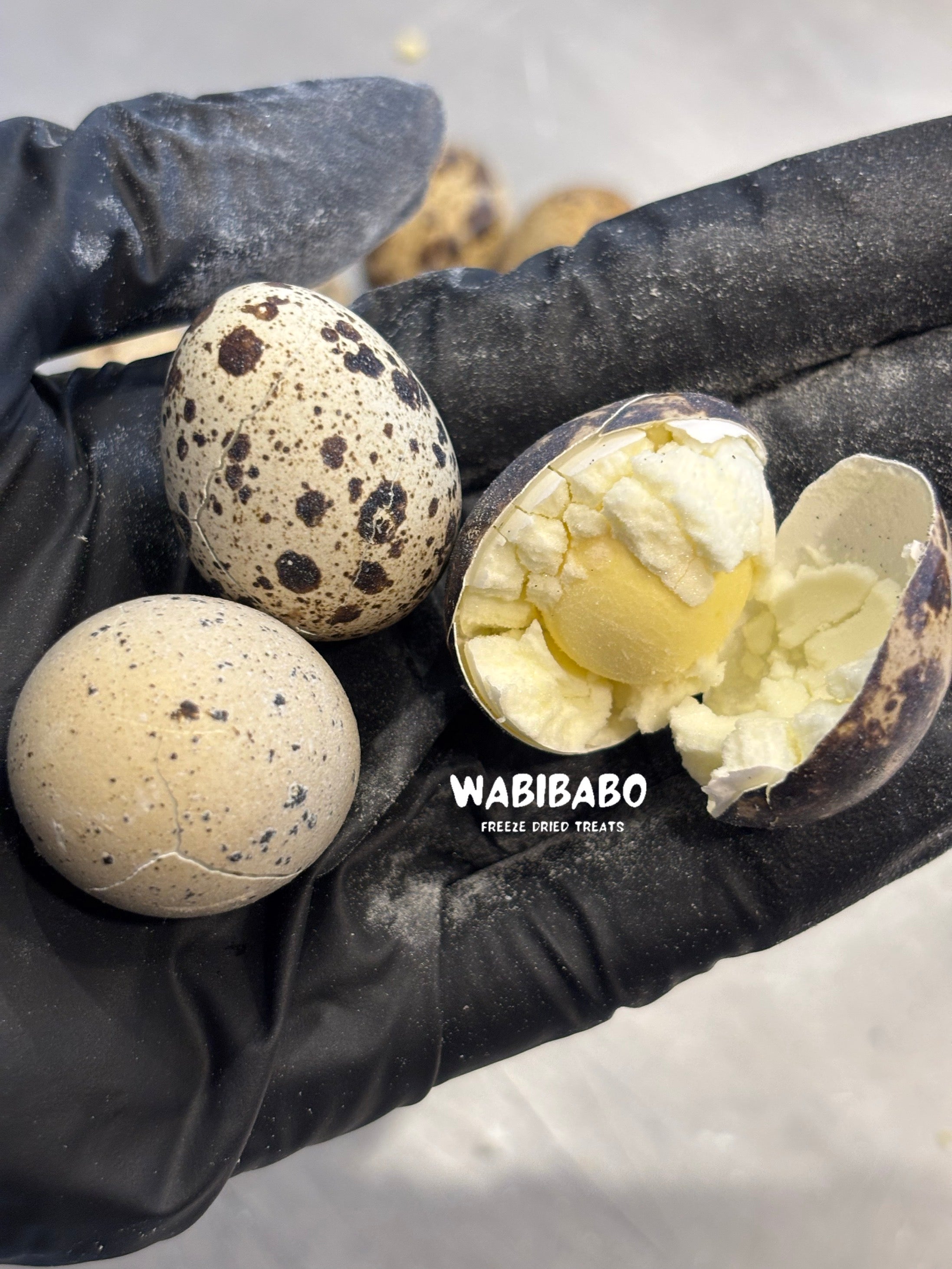 Freeze-Dried Quail Eggs – Tiny Eggs, Big Nutrition