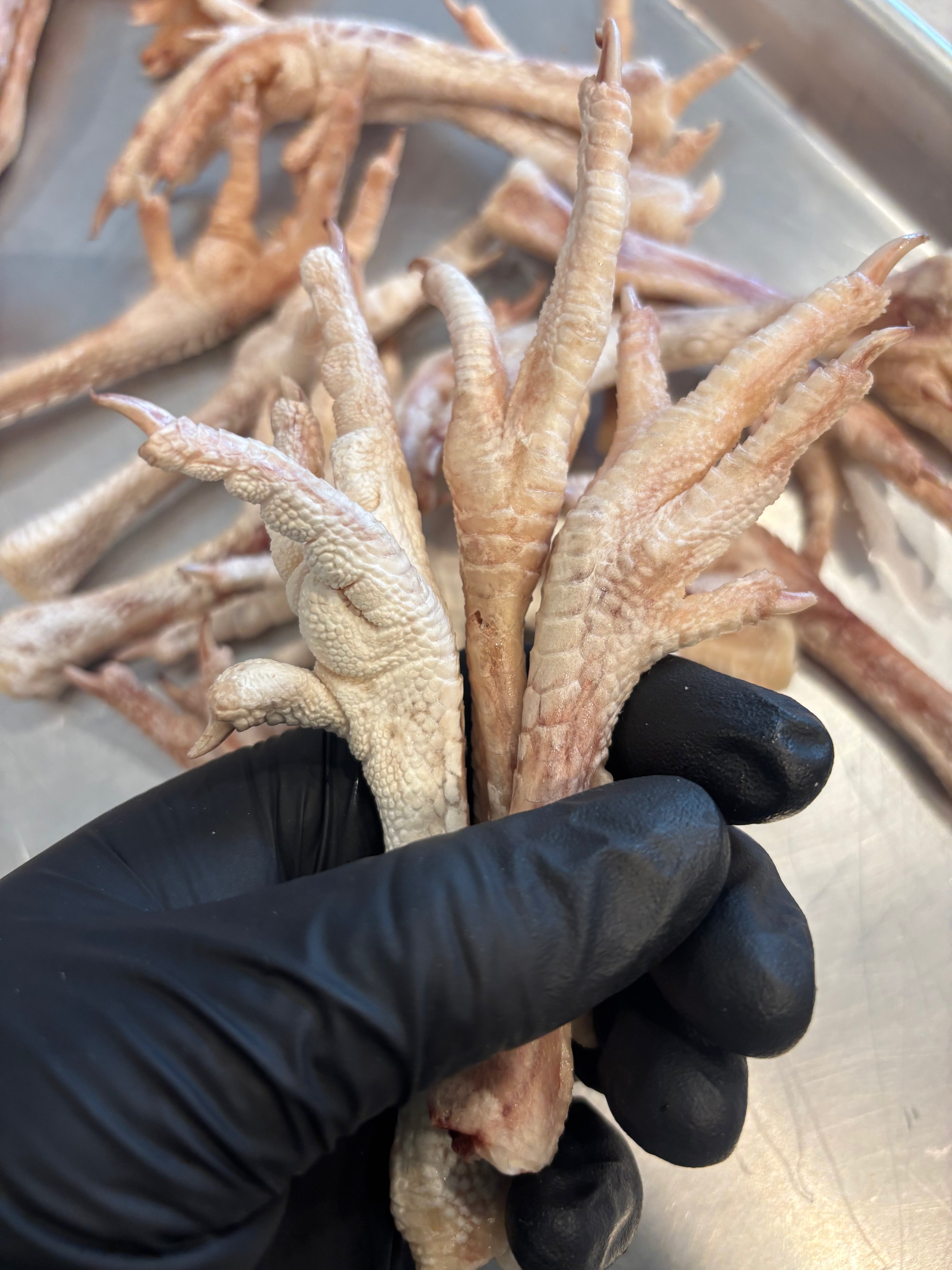 Freeze-Dried Chicken Feet – Crunchy Chews, Natural Benefits