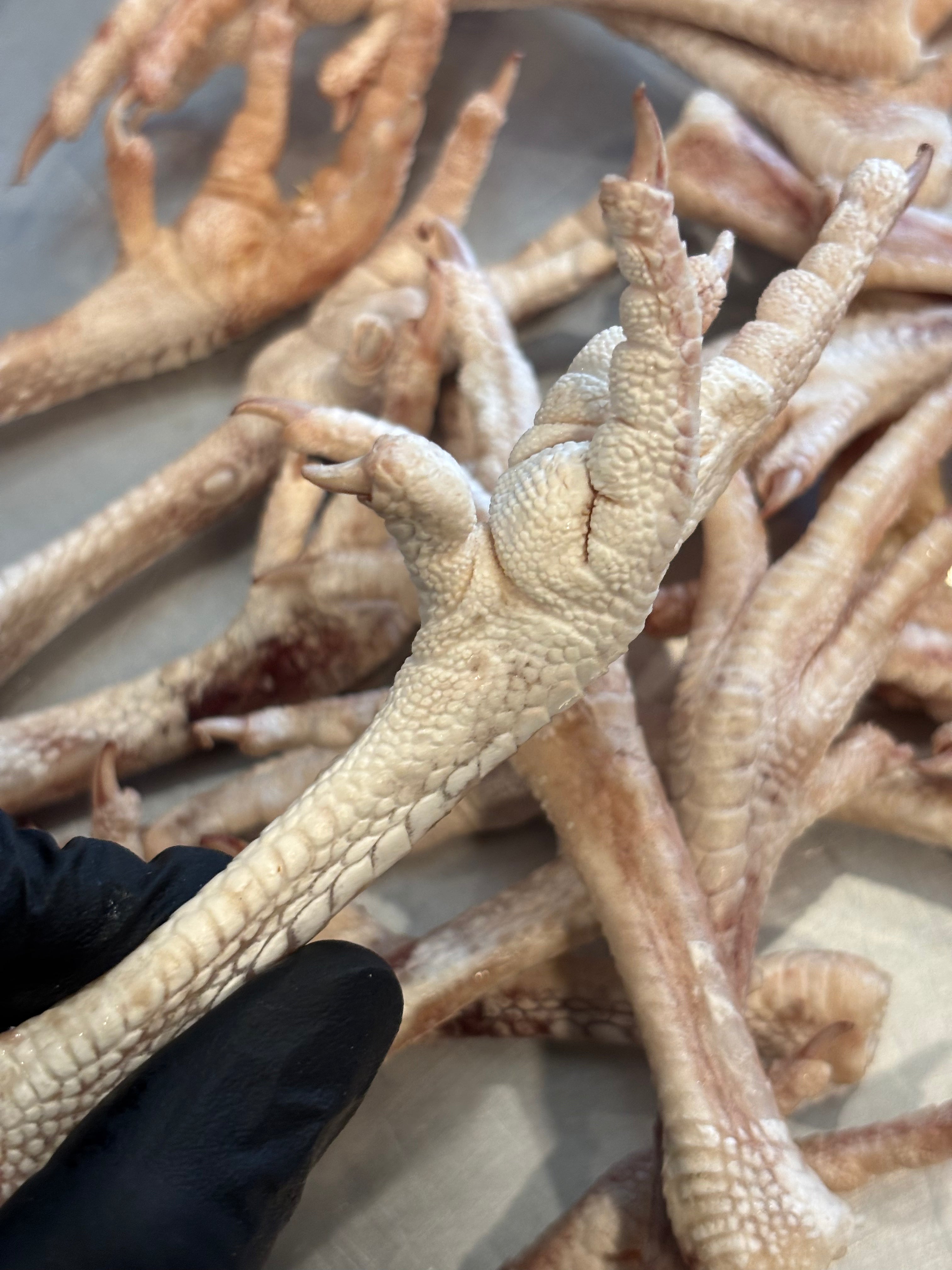 Freeze-Dried Chicken Feet – Crunchy Chews, Natural Benefits