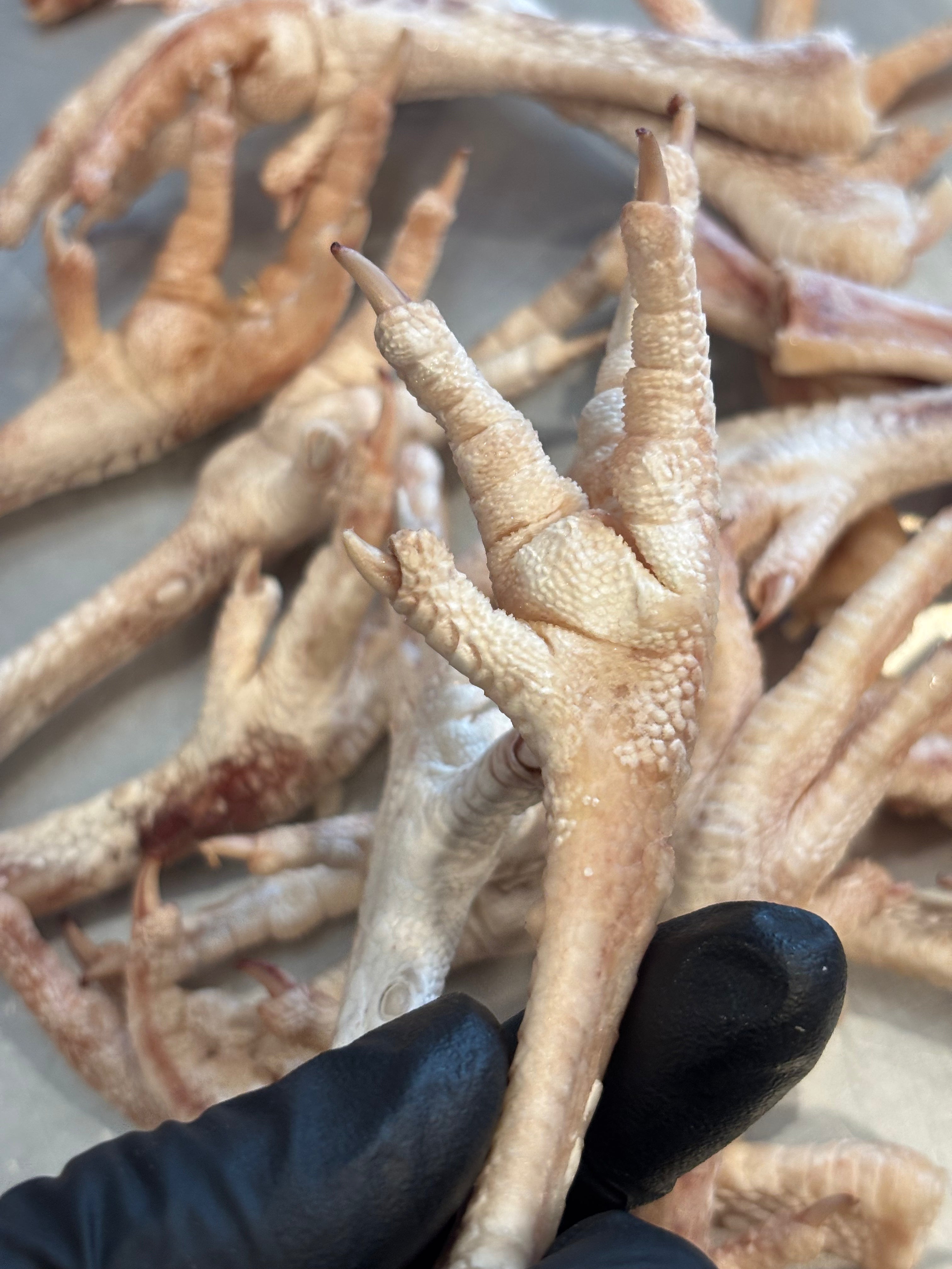 Freeze-Dried Chicken Feet – Crunchy Chews, Natural Benefits