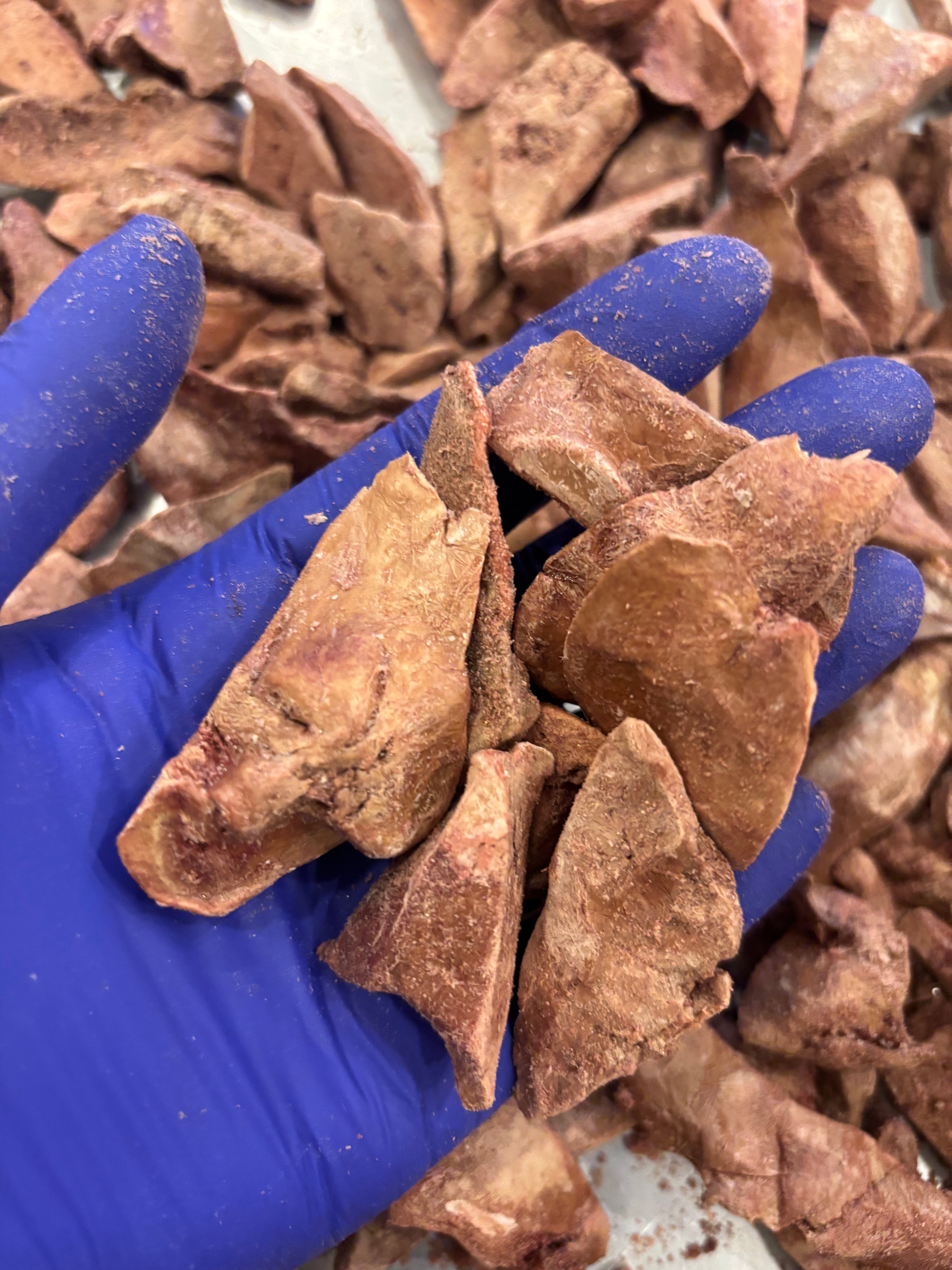 Freeze-Dried Goose Liver – Nutrient-Rich Superfood for Skin, Coat & Vitality