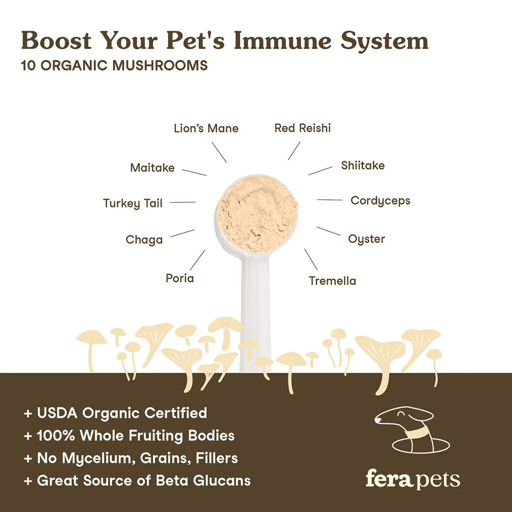 USDA Organic Mushroom Blend for Immune Support-120 servings