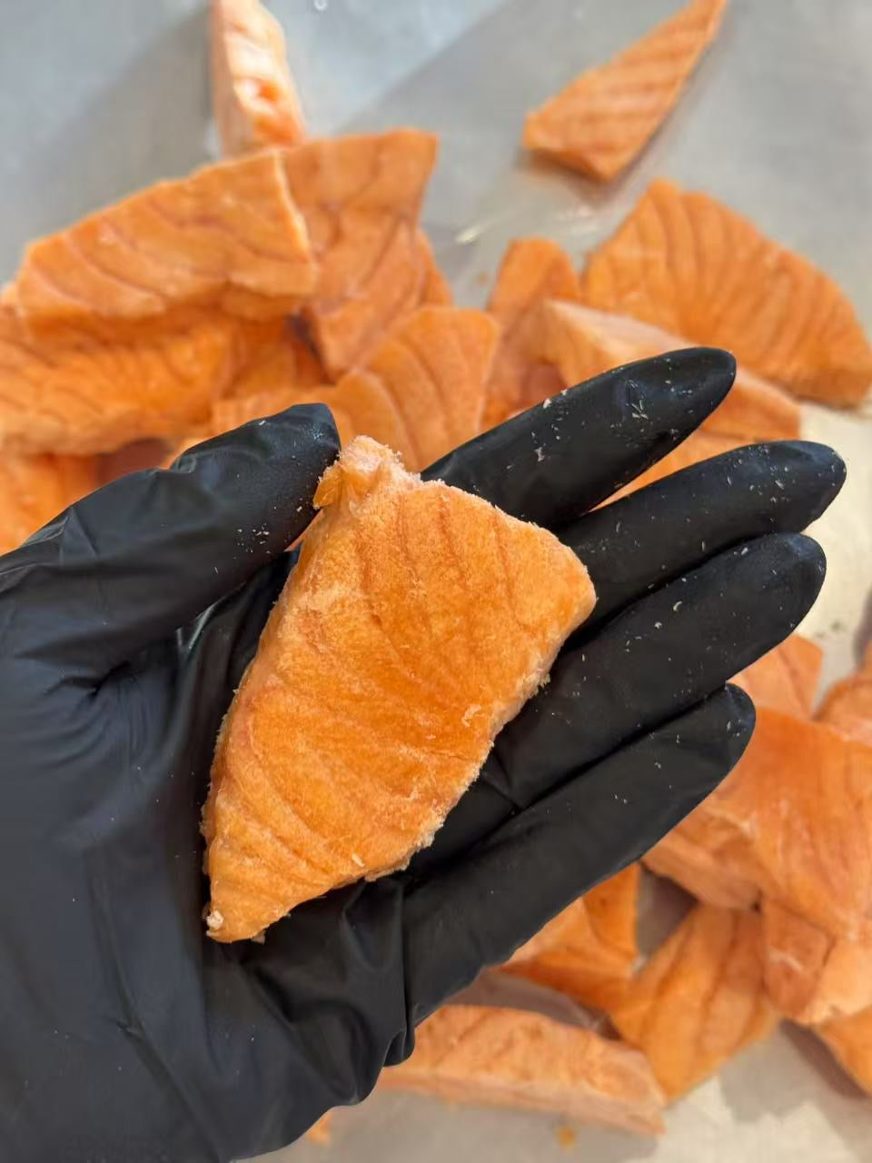 Freeze-Dried Atlantic Salmon Chunks – Rich in Omega-3 for Skin & Coat Health